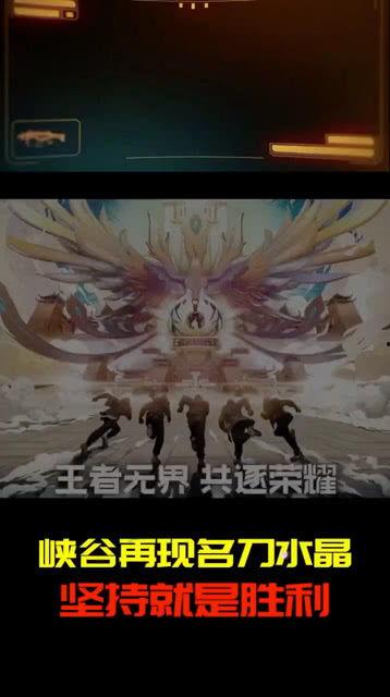 反击者,逆境中的崛起与胜利之路