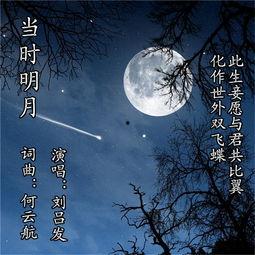 明月照南星（当时明月在）,探寻诗意与哲理的交融