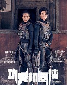 功夫机器侠,融合东方武术与科技的未来战士传奇